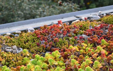 the cost of Penenden Heath green roof installation