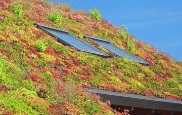 Penenden Heath living roof systems