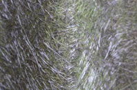 Penenden Heath fibreglass roof work