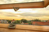 rated Penenden Heath roof window companies